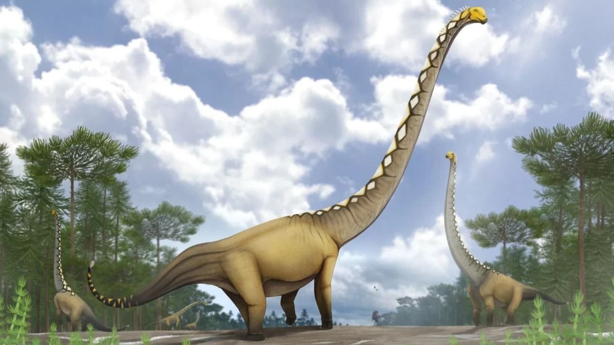 Uragasaurus kalasinensis