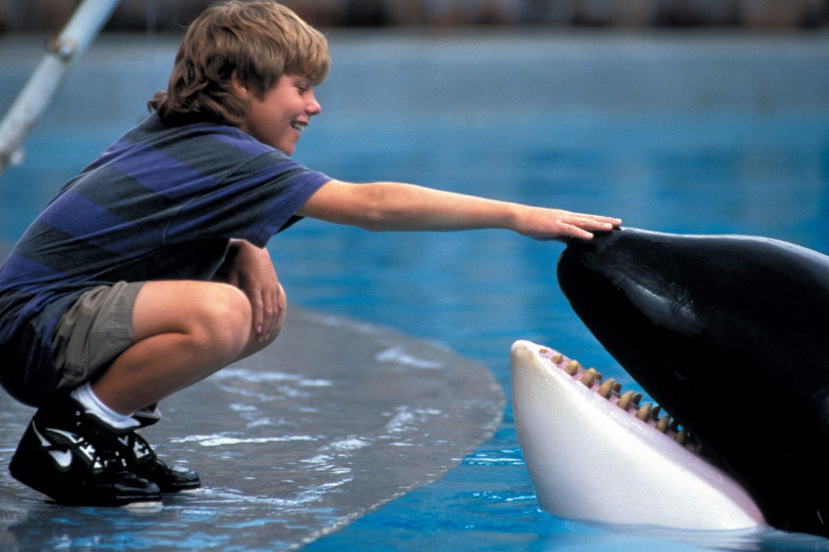 "Освободите Уилли" возвращается: Warner Brothers перезапустит культовый фильм 90-х
