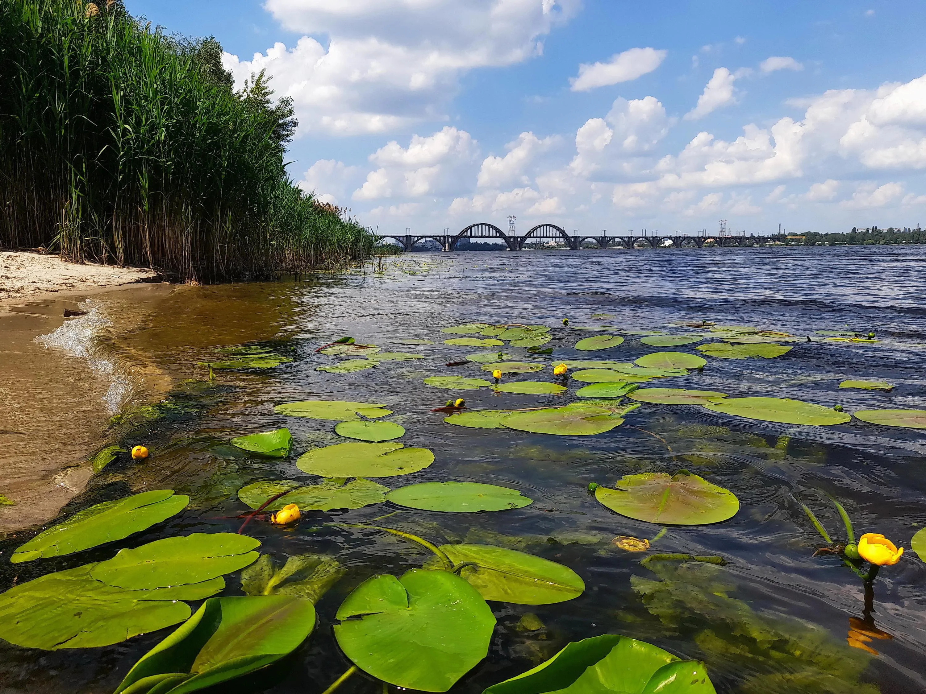 Річка Дніпро / фото Володимира Тертишника Річка Дніпро / фото Володимира Тертишника