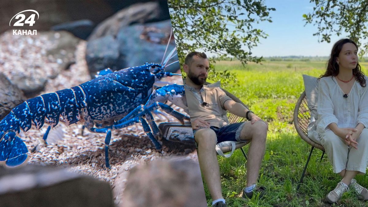 Подружжя перетворило стару хату на незвичайну ферму на Львівщин