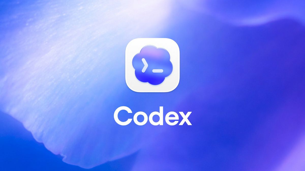 Codex Codex
