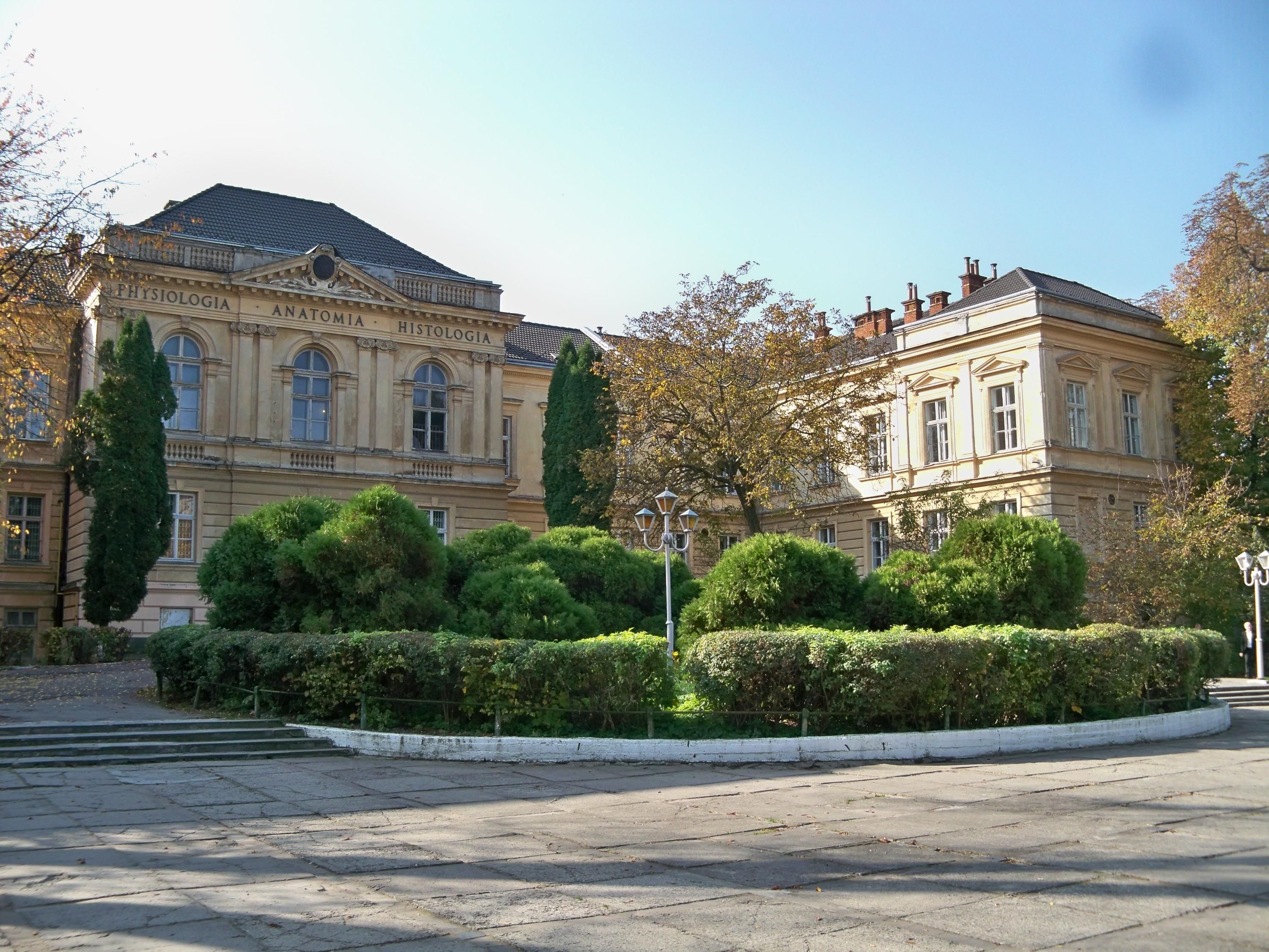 Каковы цены на обучение во Львовском медицинском университете