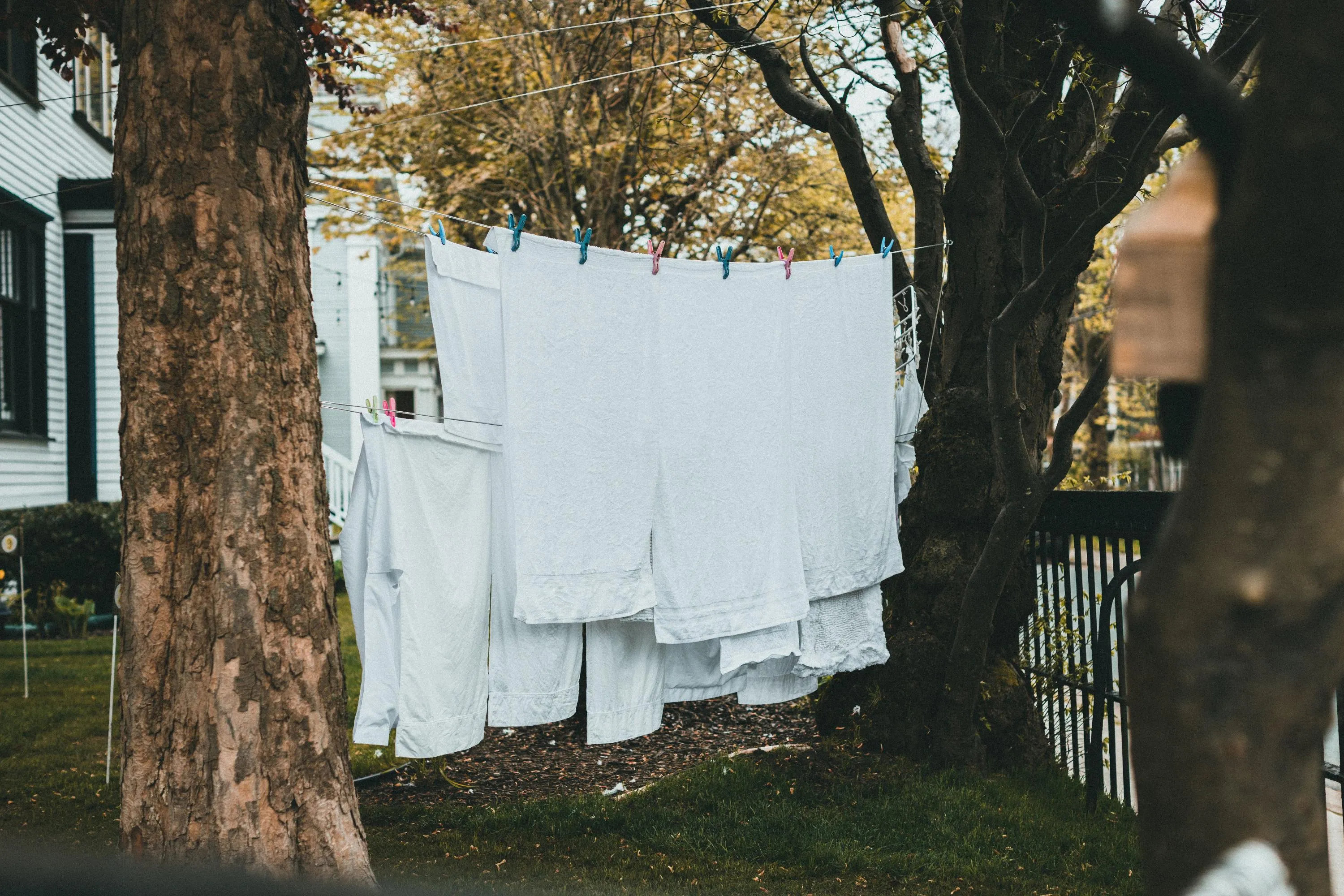 Лимонна кислота чудово відбілює речі / Фото Pexels