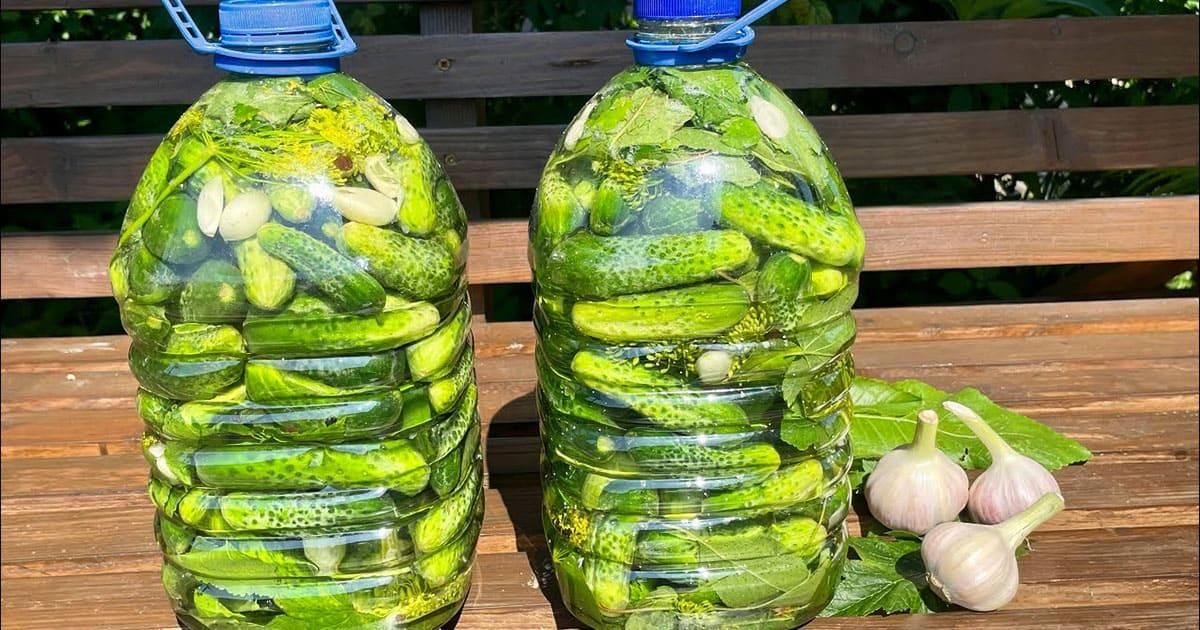 Маринуем хрустящие огурчики 