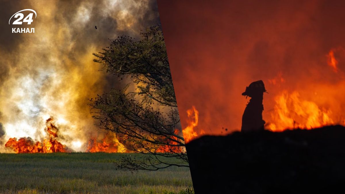 Лесной пожар