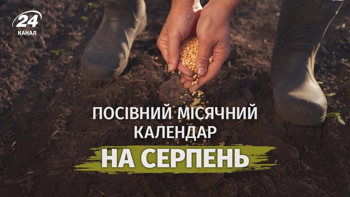 Посевный календарь на август Посевный календарь на август