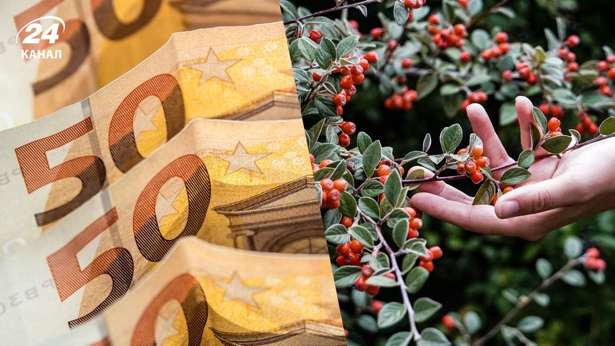 Штрафы за сбор ягод в Европе Штрафы за сбор ягод в Европе