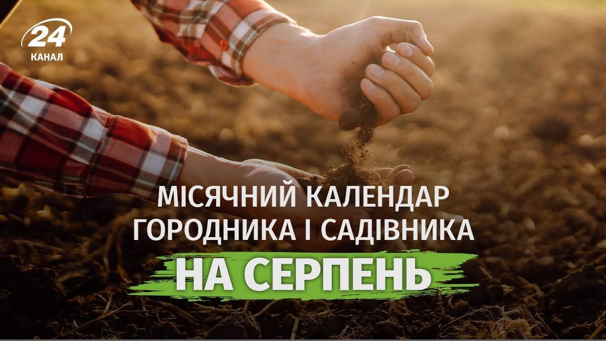 Місячний календар городника на серпень 2026 - коли і що садити