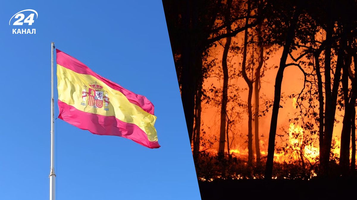 Лісові пожежі в Іспанії Лісові пожежі в Іспанії