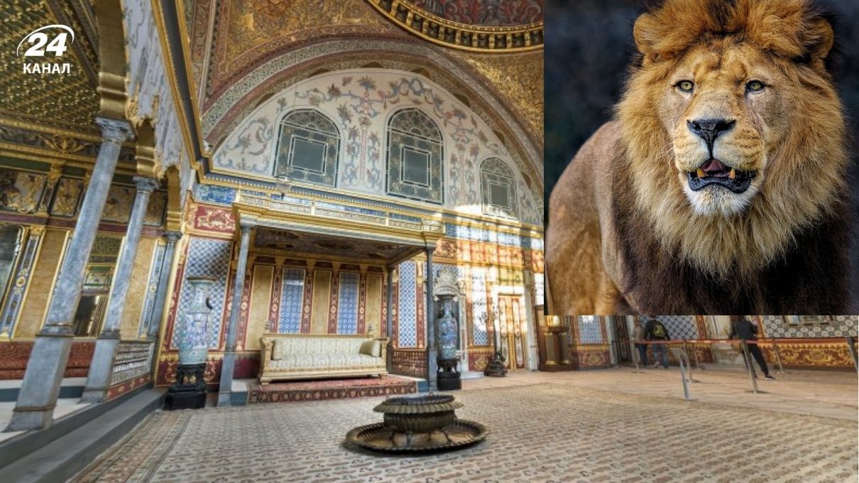 У палаці султана жили екзотичні звірі У палаці султана жили екзотичні звірі