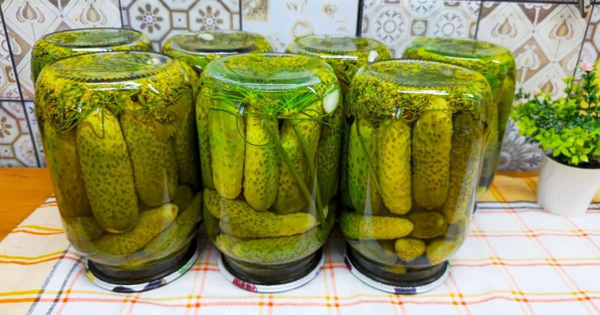 Такі огірки розійдуться на ура Такі огірки розійдуться на ура