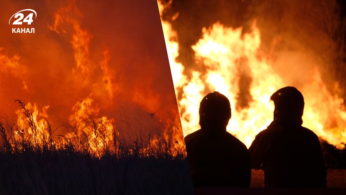 Лесные пожары во Франции Лесные пожары во Франции
