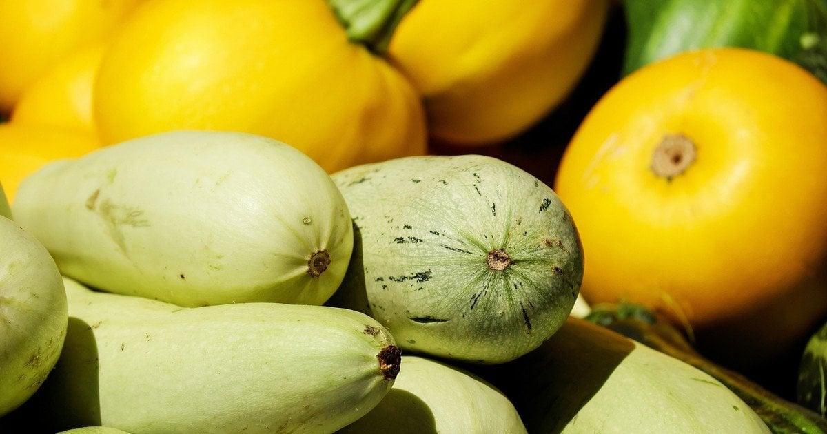Что делать с кабачками