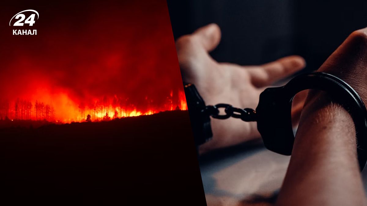 Арешти за лісові пожежі Арешти за лісові пожежі