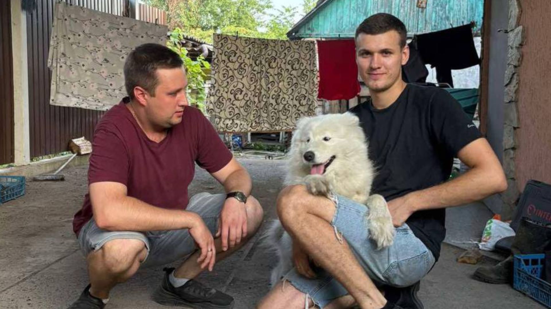 Скандал у Новій пошті через собаку