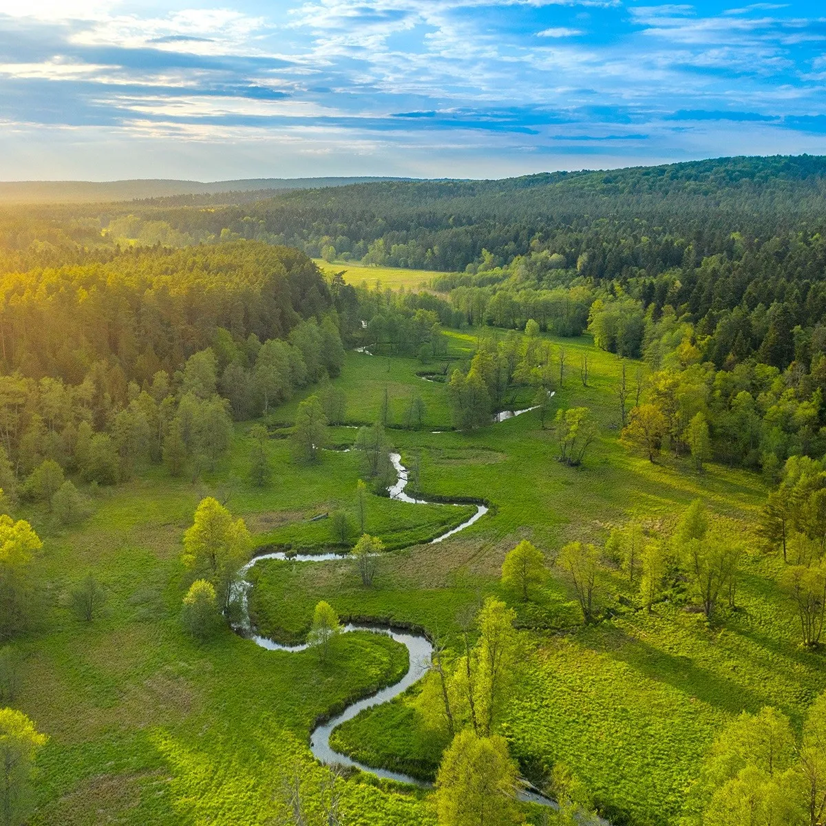 Живописное Росточье / Фото с сайта Polscha travel