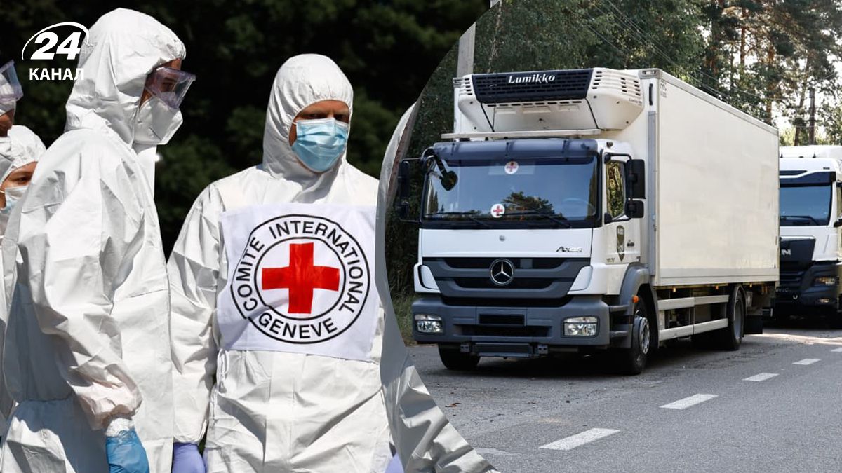 В Украину были возвращены тела 261 погибшего