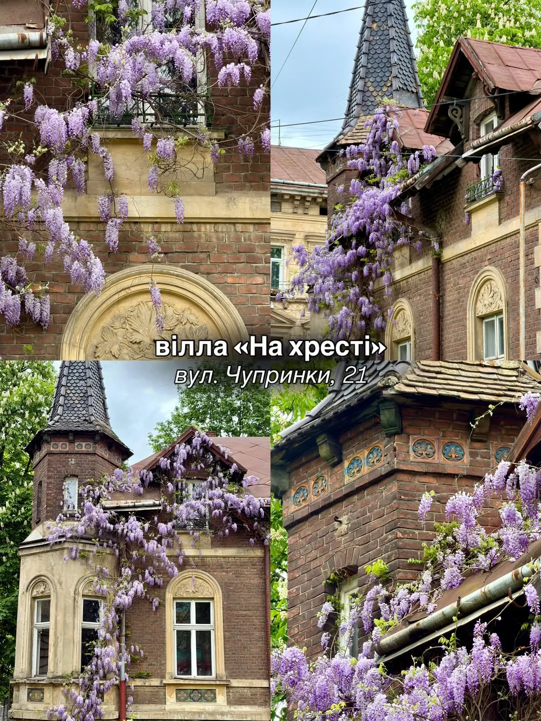 Ефектні вілли Львова / Фото з інстаграму @lviv_joy
