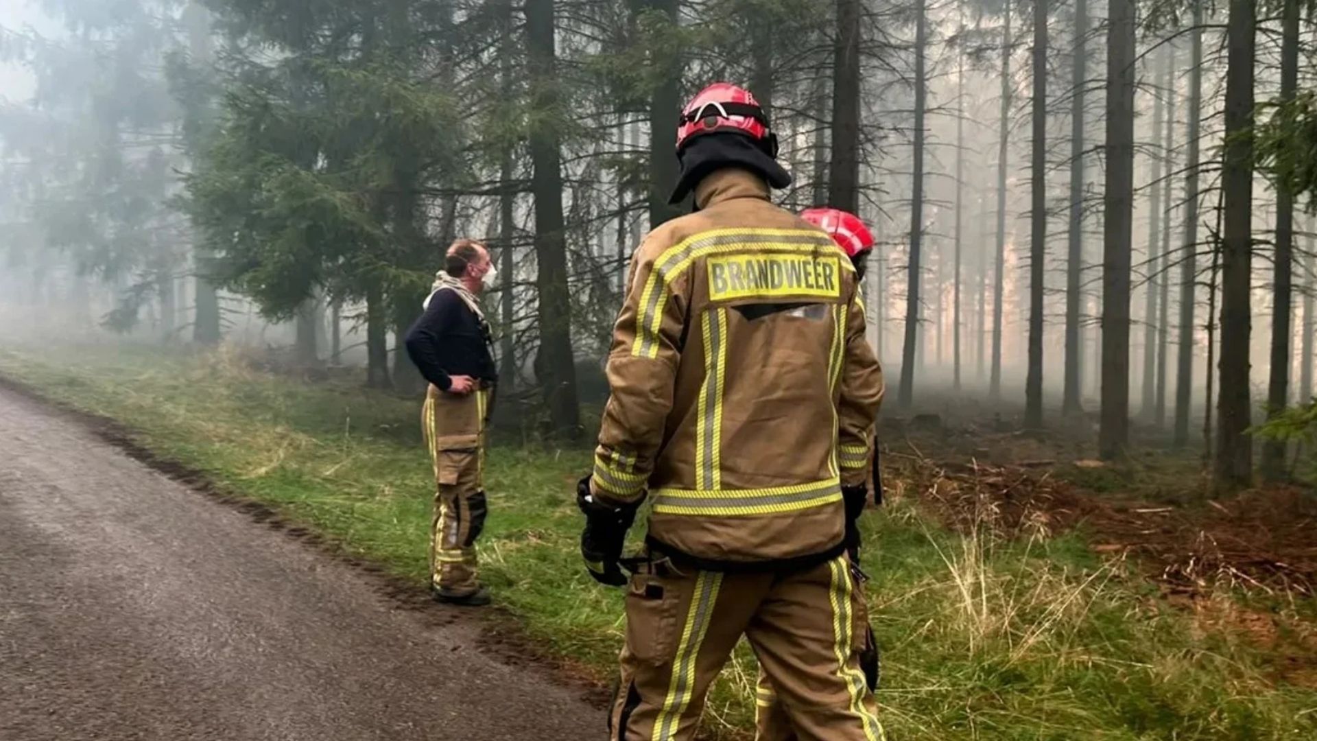 Найбільша пожежа в історії Бельгії підібралася до кордону: у Німеччині евакуюють людей