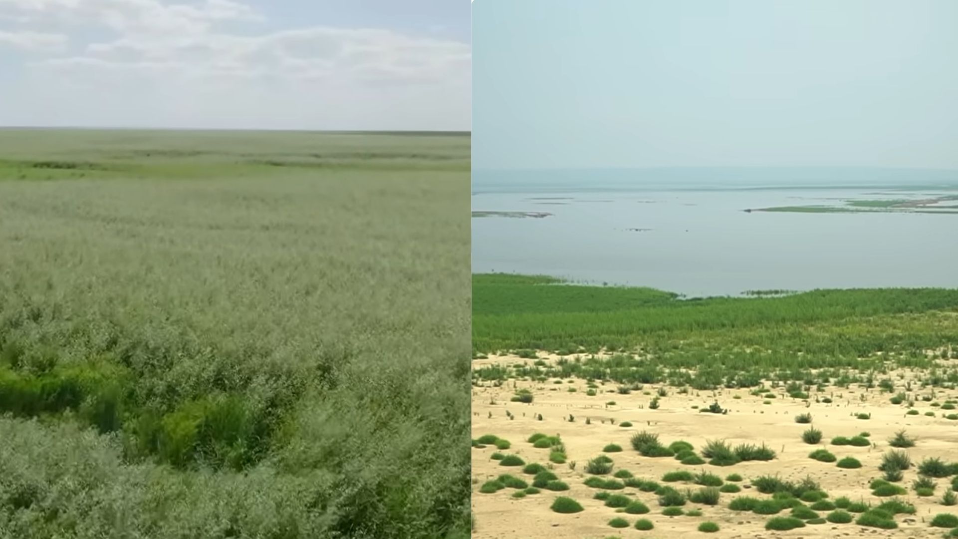 Що відбувається на місці колишнього Каховського водосховища Що відбувається на місці колишнього Каховського водосховища