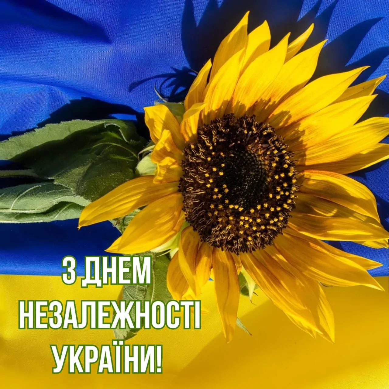 Яскрава листівка привітання з Днем Незалежності України Яскрава листівка привітання з Днем Незалежності України