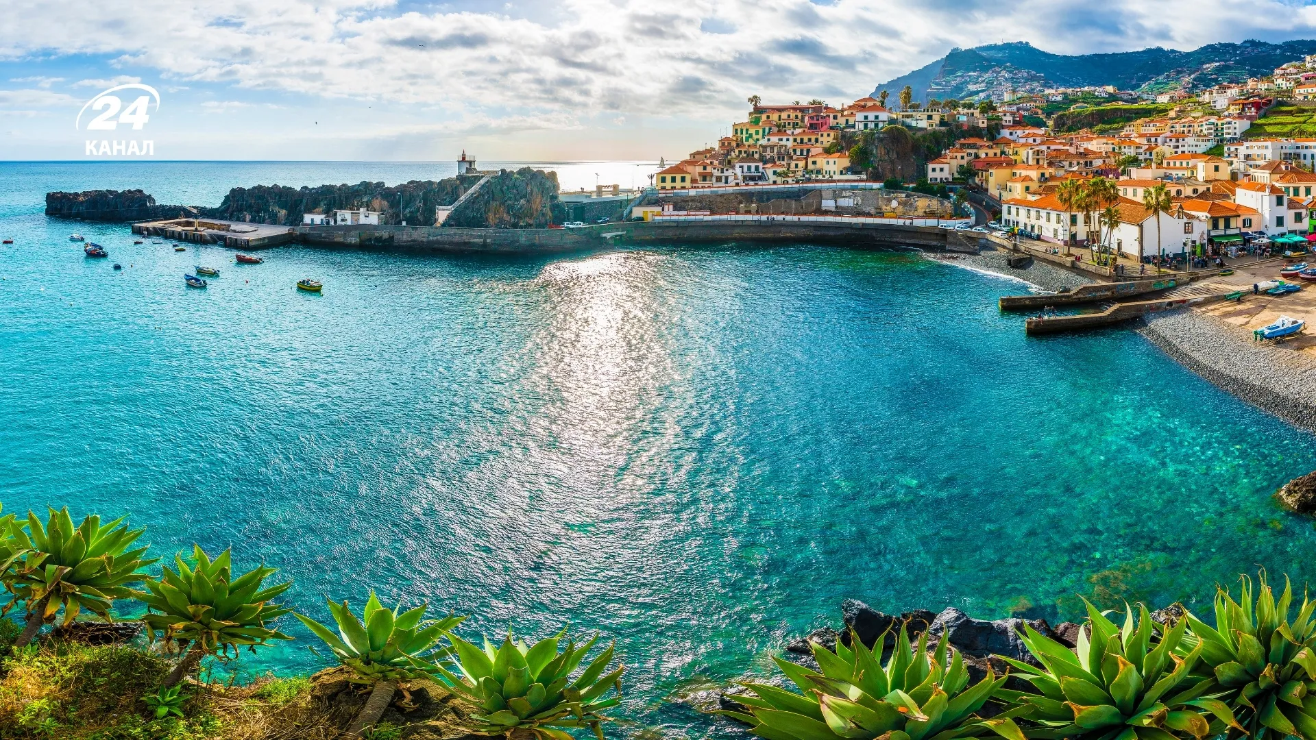 Мадейра / фото Canva Мадейра / фото Canva