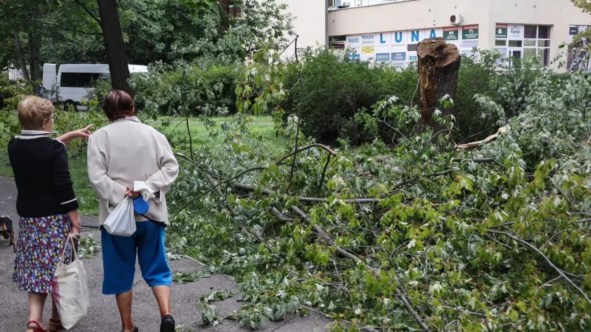 Жертвы в Прибалтике и блэкаут в Беларуси: мощный циклон пронесся сразу по четырем странам Европы