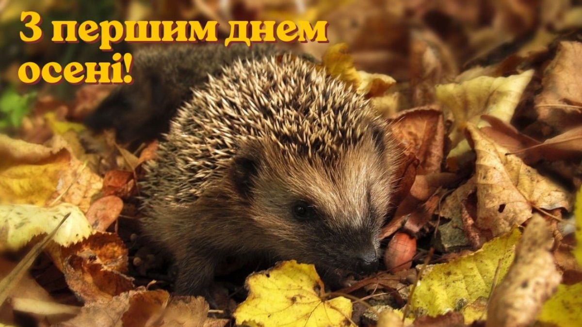 Поздравление с первым днем осени