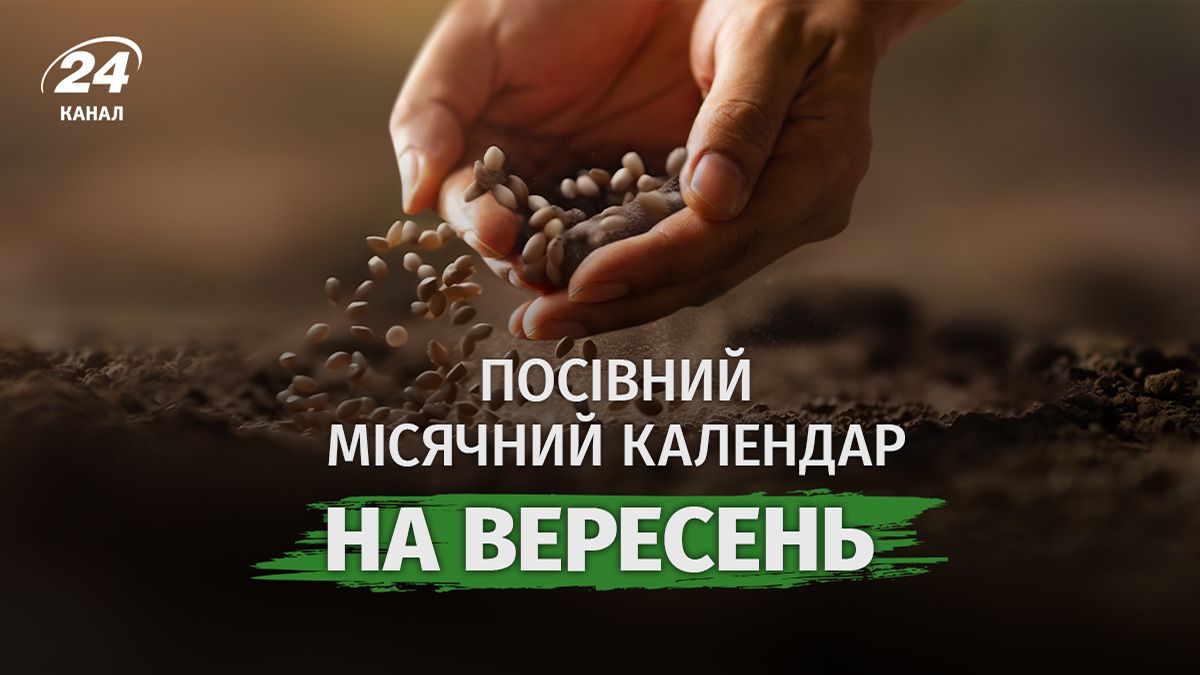 Місячний посівний календар, вересень 2026 - що можна садити в полі Місячний посівний календар, вересень 2026 - що можна садити в полі