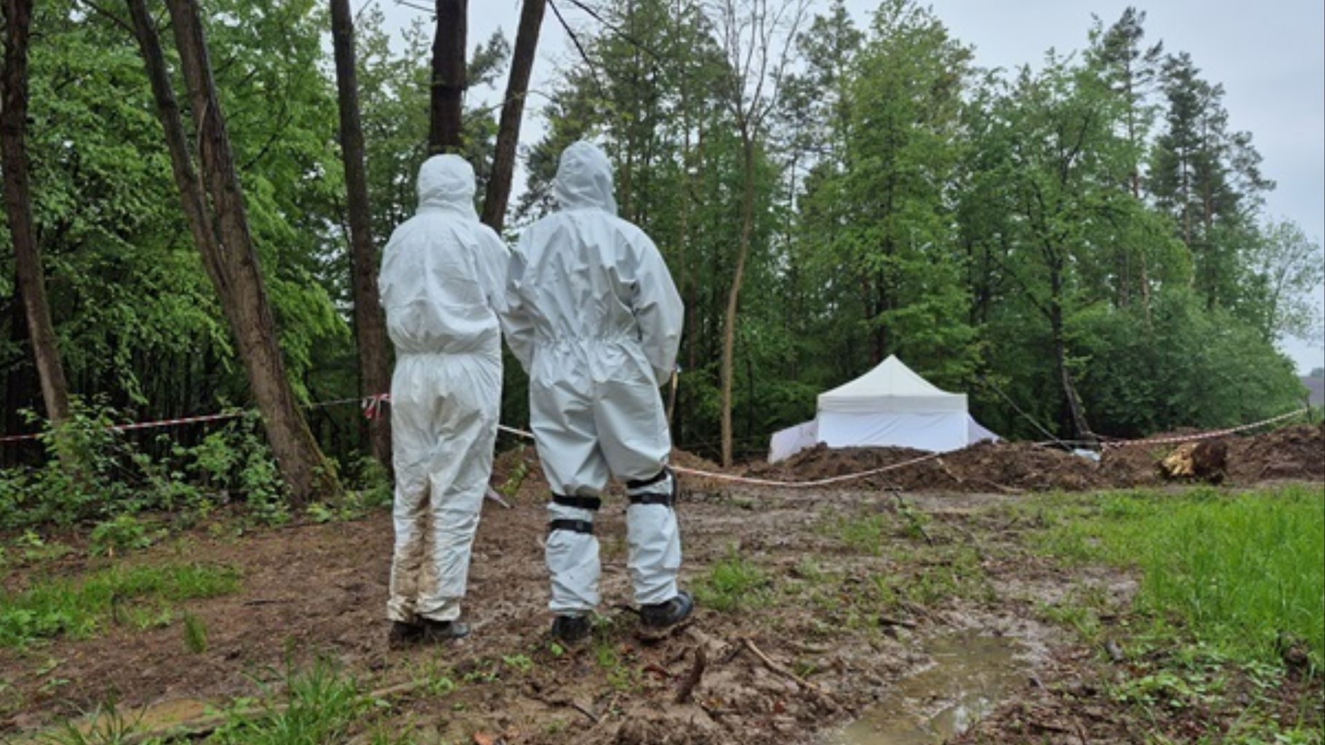 Польща вперше за тривалий час надала Україні дозвіл на пошукові роботи - 24 Канал