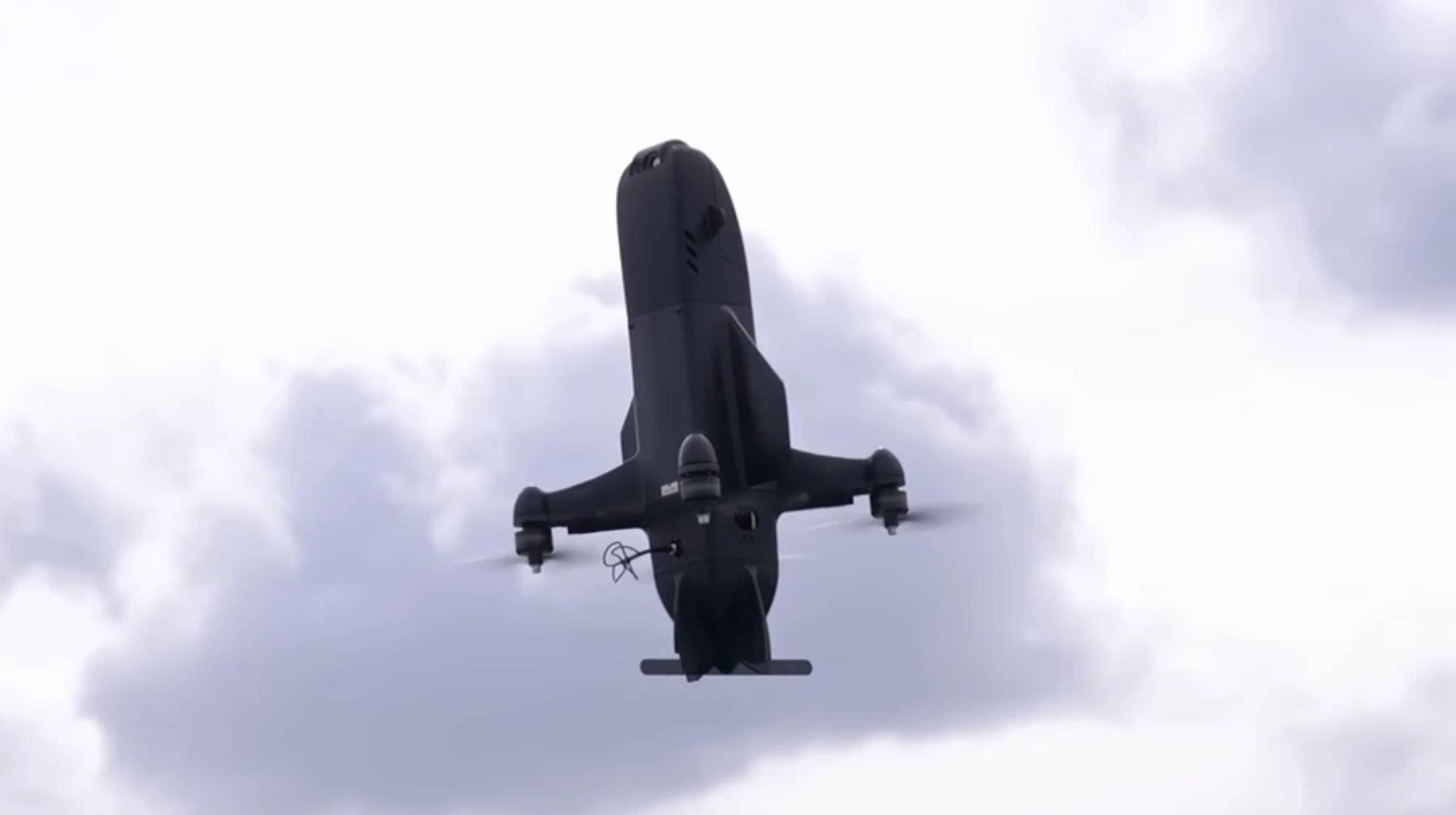 БПЛА LITAVR