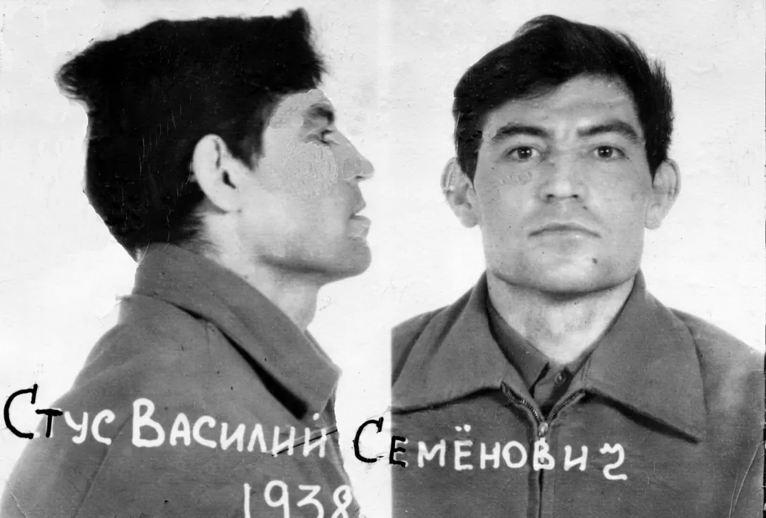 Справа Василя Стуса