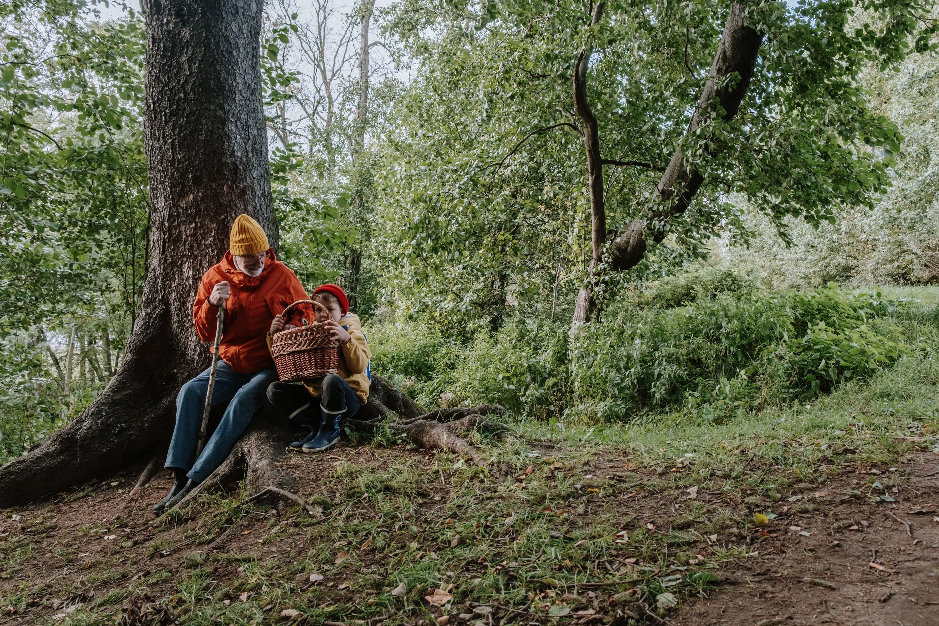 Куди поїхати по гриби на Львівщині: це найпопулярніші напрямки на вихідні