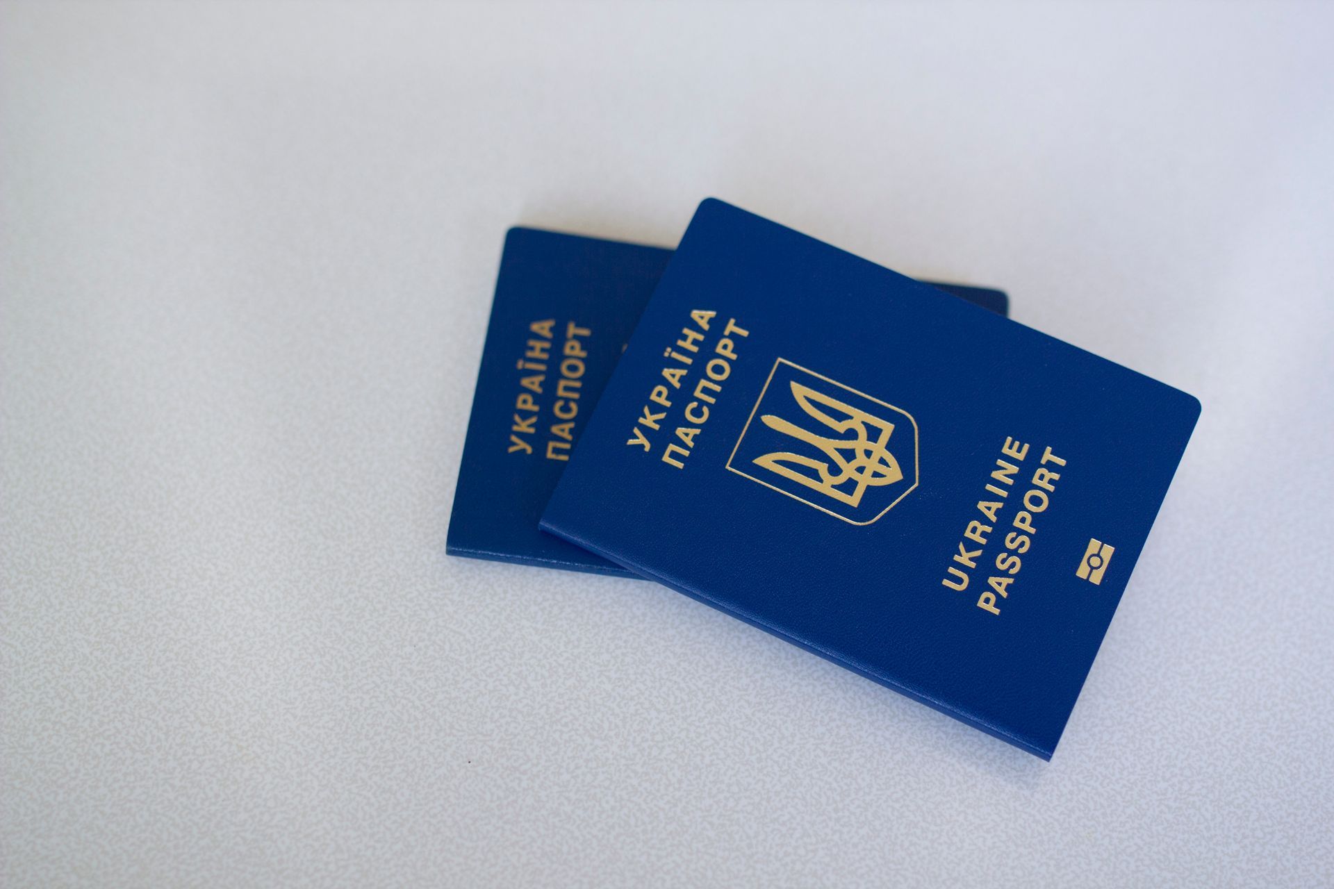 Закордонний паспорт України Закордонний паспорт України