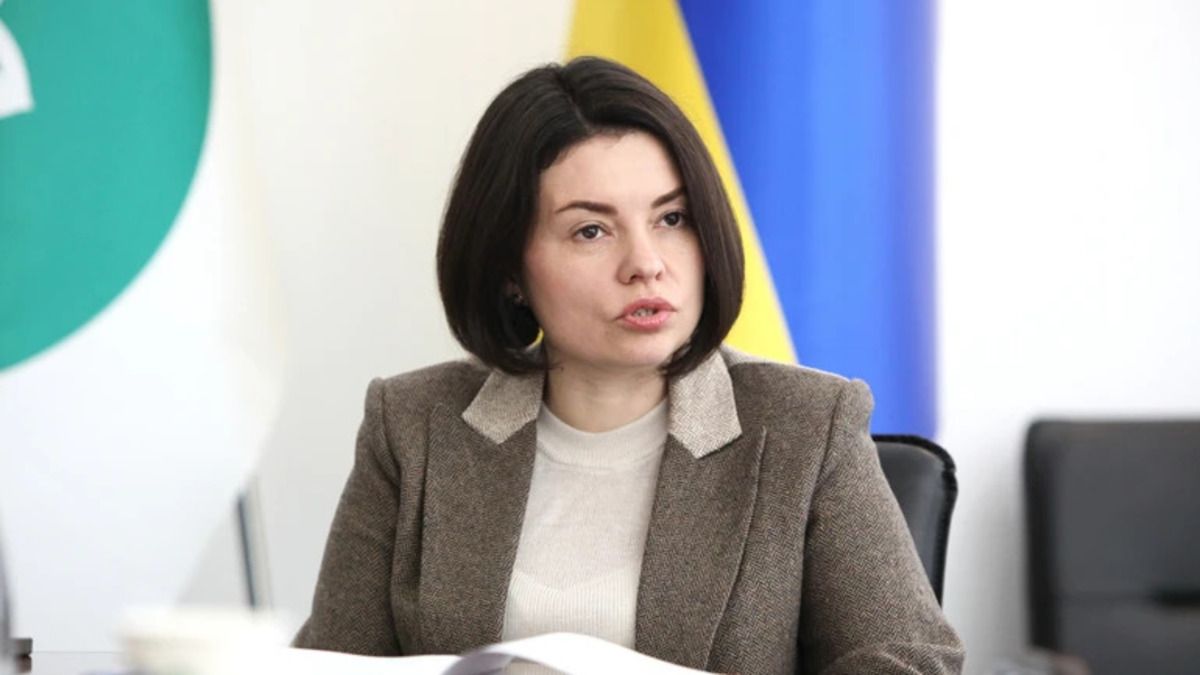 Кабинет министров уволил исполняющую обязанности главы Налоговой службы Лесю Карнаух Кабинет министров уволил исполняющую обязанности главы Налоговой службы Лесю Карнаух