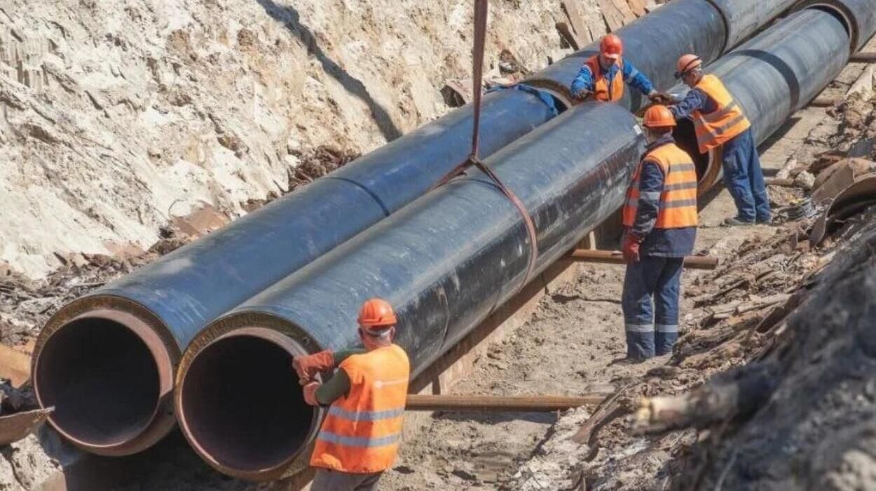 На Теремках у Києві проводять земляні роботи – інформація про знесення дерев не відповідає дійсності, – КМДА
