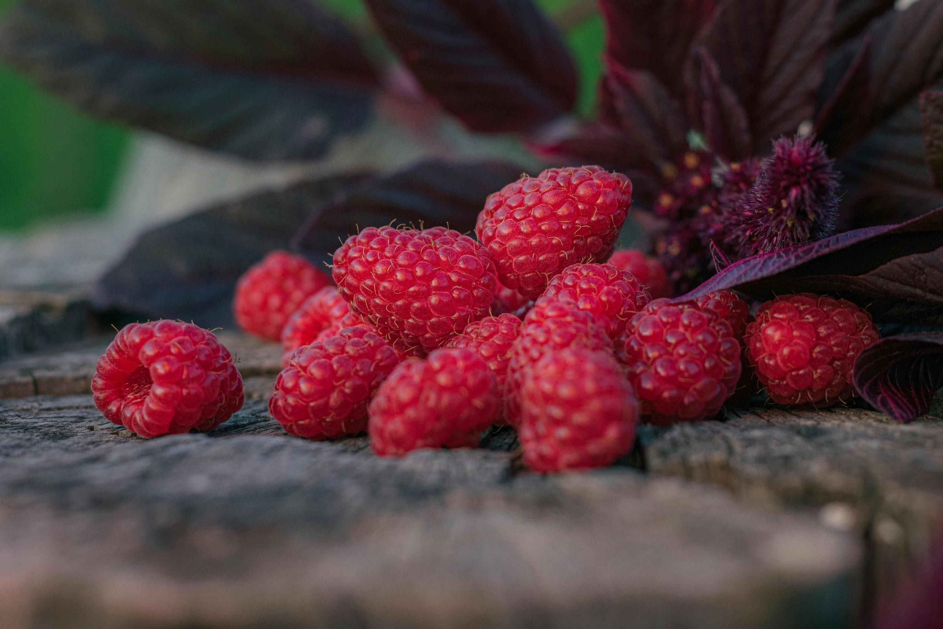 Пізня малина стрімко дорожчає Пізня малина стрімко дорожчає