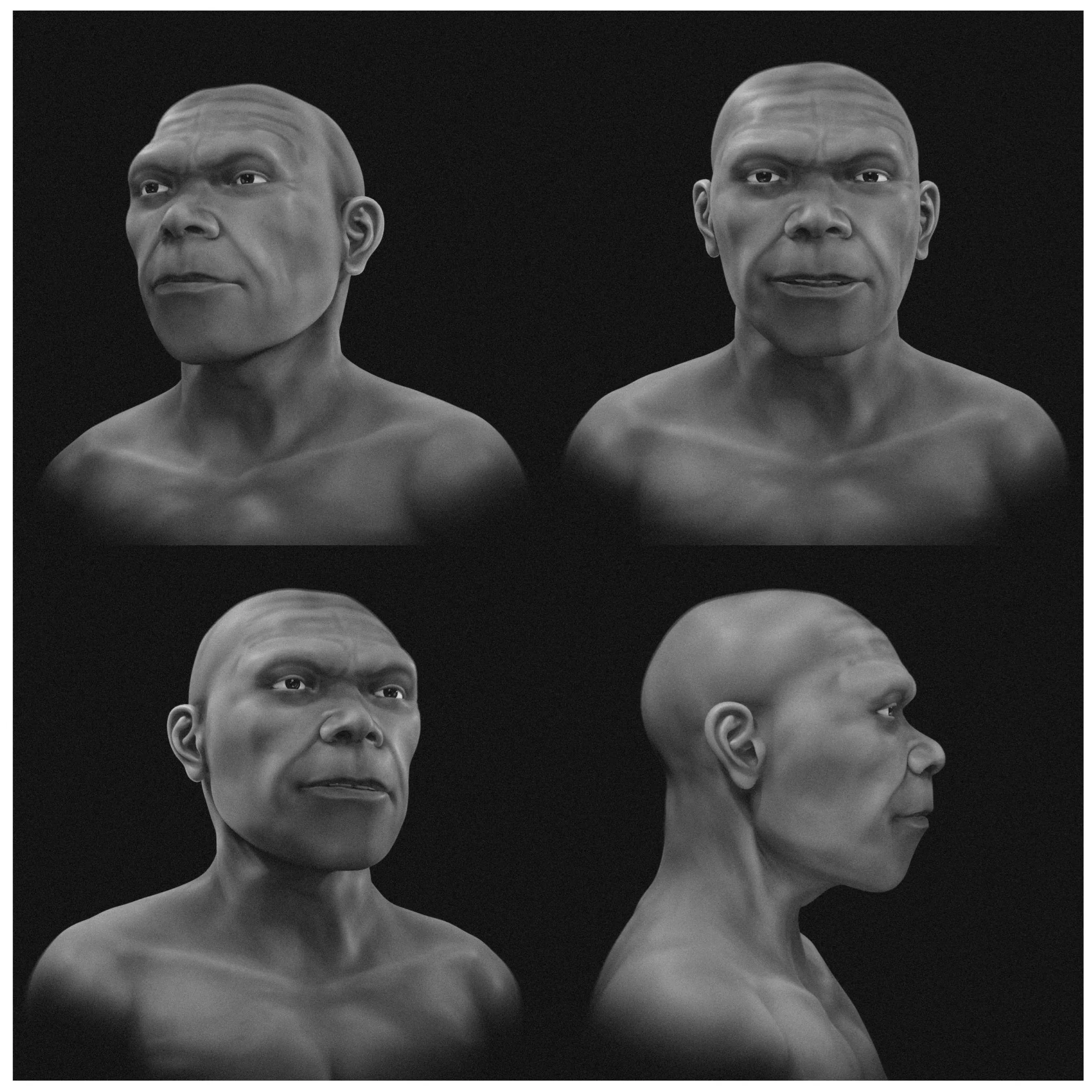 Промежуточные изображения самого древнего из известных Homo sapiens Промежуточные изображения самого древнего из известных Homo sapiens