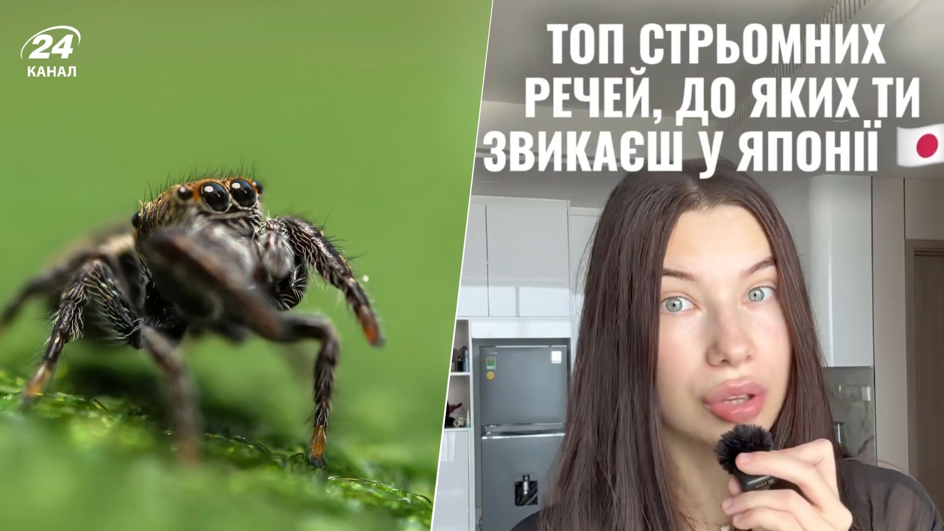 Наче апокаліпсис, – українка розповіла про 3 речі, які налякали її в Японії