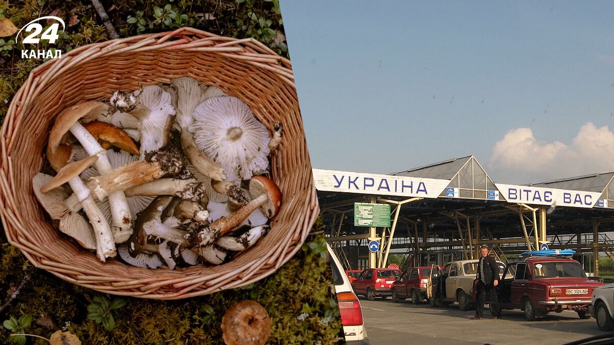 Перевезення грибів у Польщу