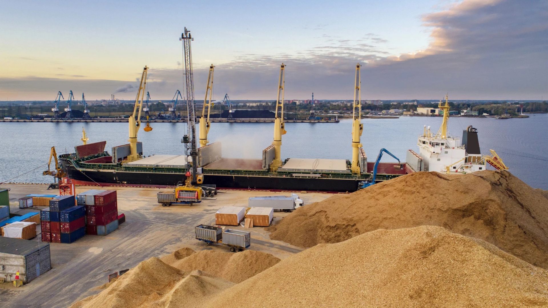Зерно, яке не можна вкрасти двічі: Україна може перекривати морські шляхи незаконного експорту