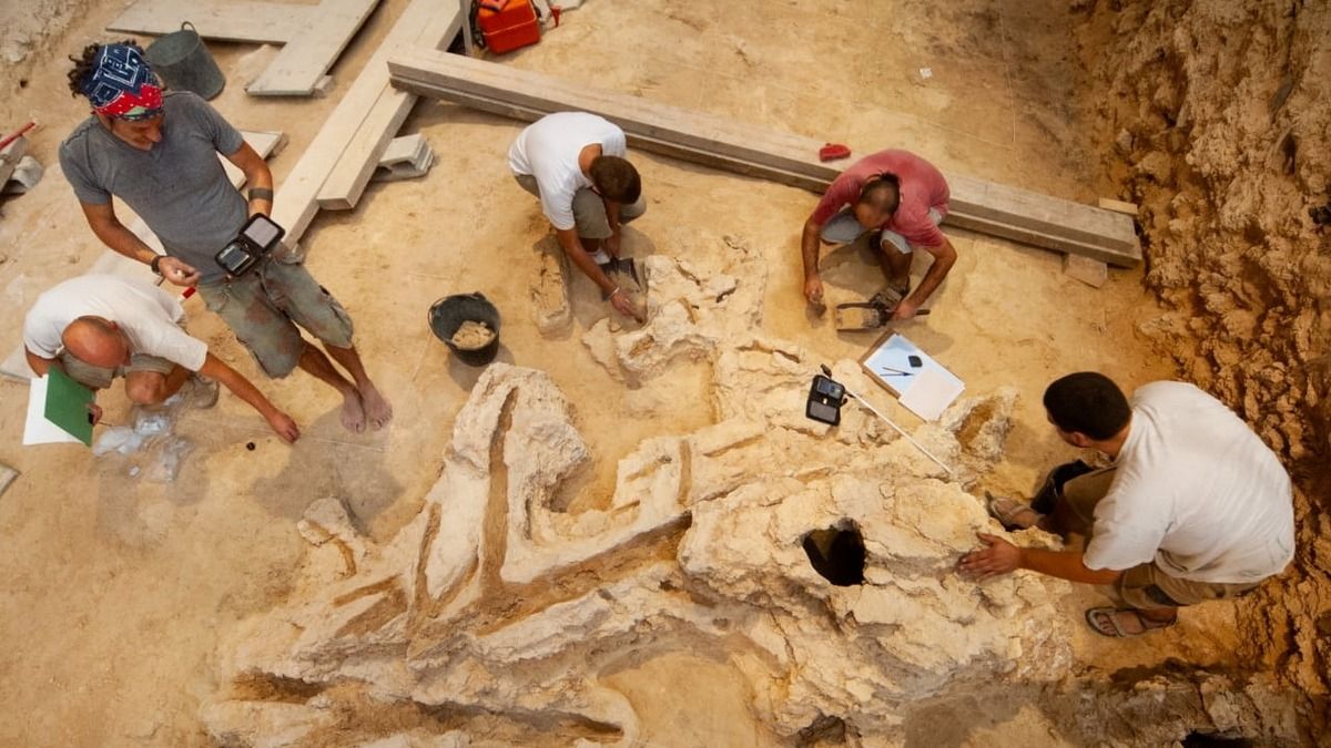 Неандертальці вміли більше, ніж палити дрова Неандертальці вміли більше, ніж палити дрова