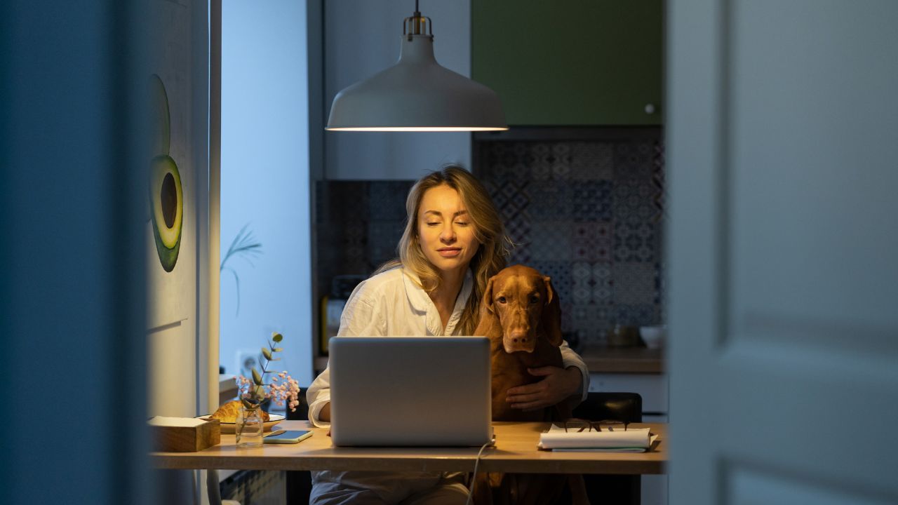 10 вещей, которые точно будут работать без света, если у вас есть это