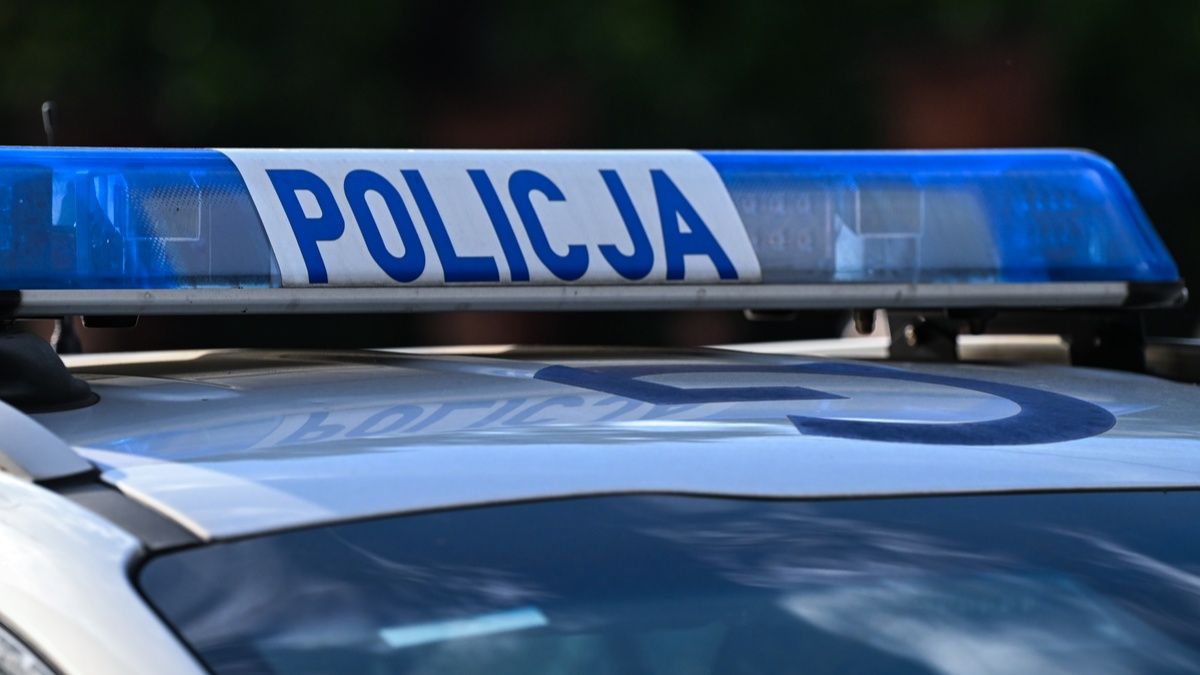 В Польше задержали 76 человек после нападений на школы: проверили почти 50 тысяч учебных заведений В Польше задержали 76 человек после нападений на школы: проверили почти 50 тысяч учебных заведений