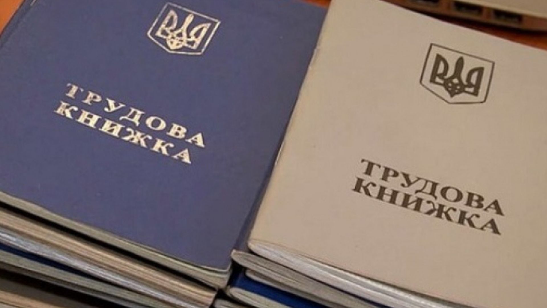 Необходимо проверить записи в трудовой книжке Необходимо проверить записи в трудовой книжке
