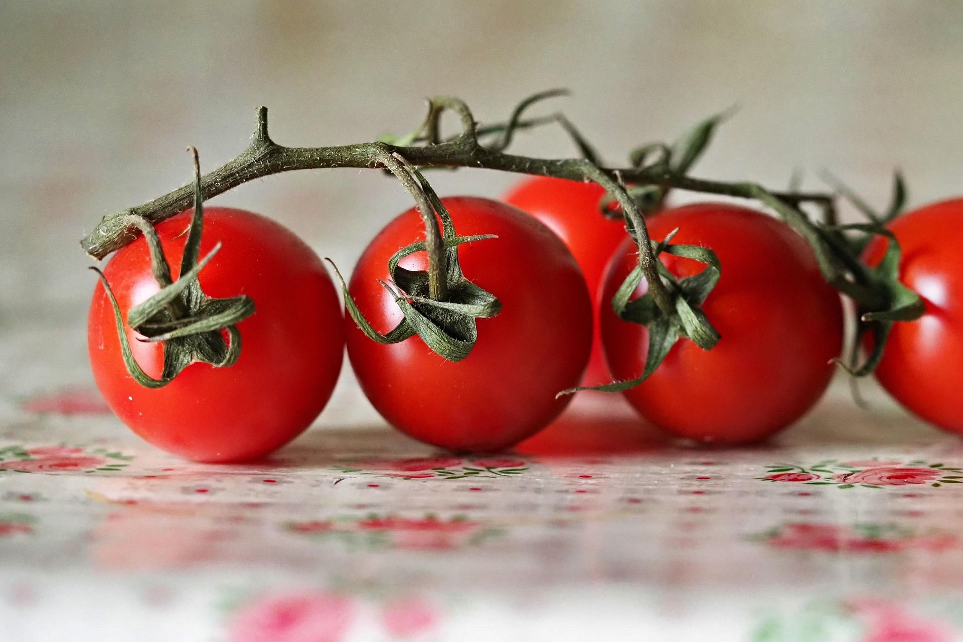 Как покупать только вкусные помидоры Как покупать только вкусные помидоры