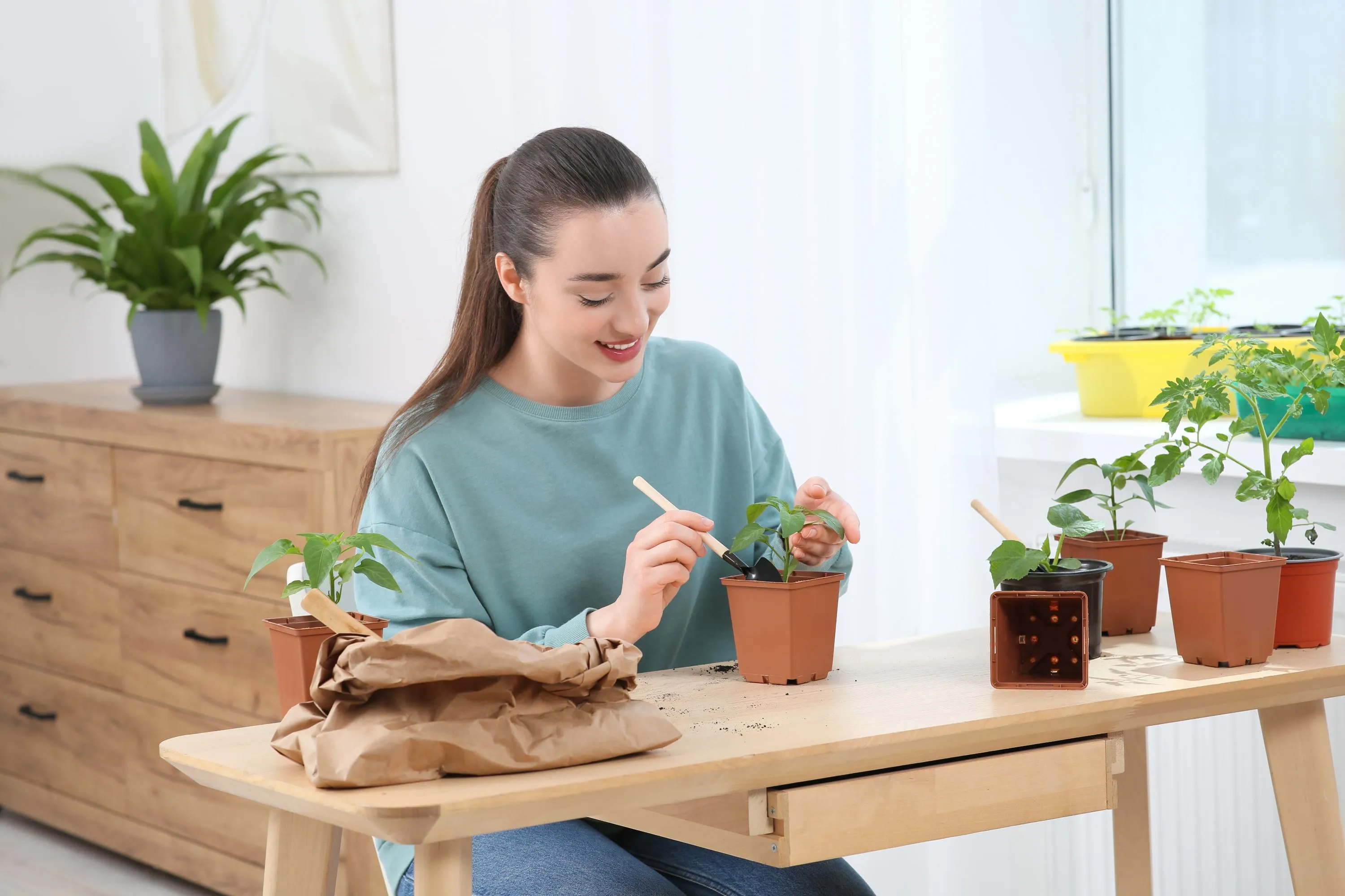 Некоторые семена овощей можно сеять уже зимой / Фото Shutterstock Некоторые семена овощей можно сеять уже зимой / Фото Shutterstock