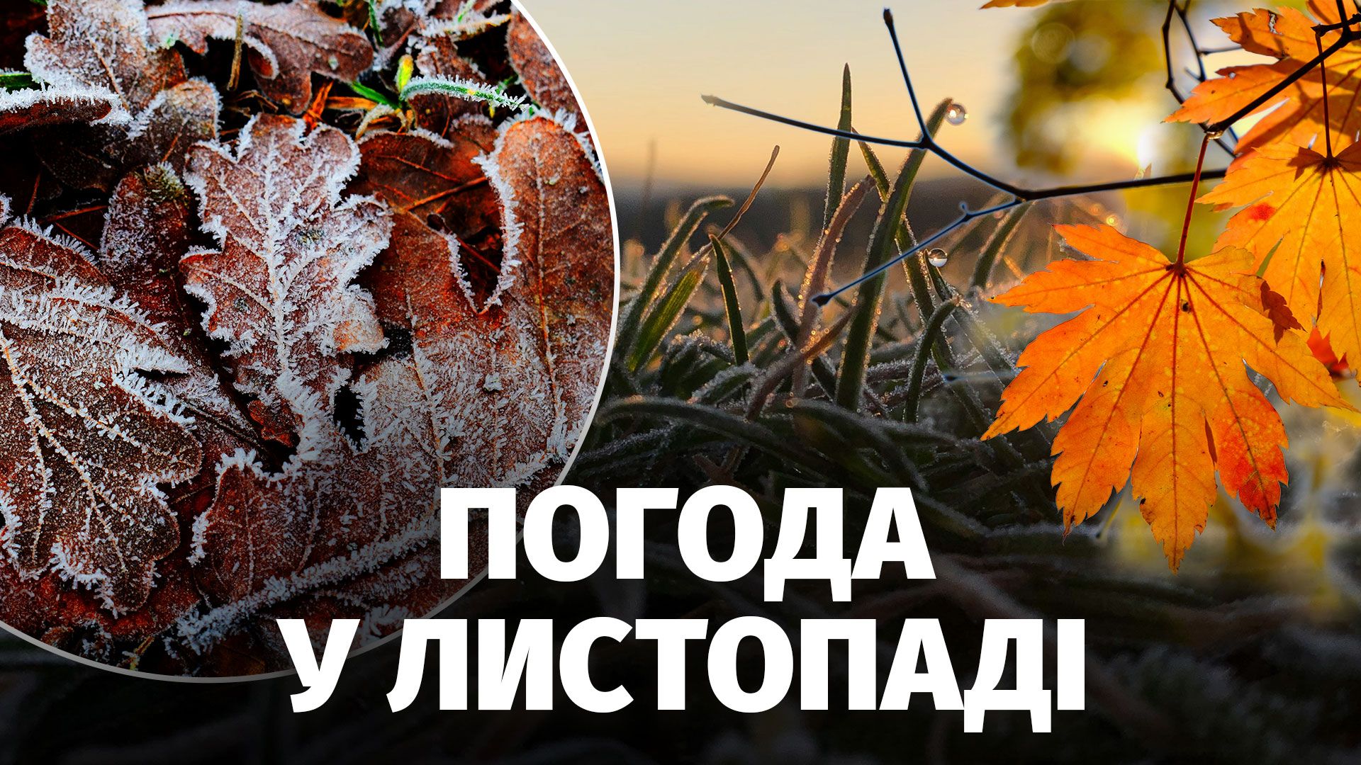 Коли в Україні похолодає та чи чекати снігу восени: інтерв'ю про погоду у листопаді