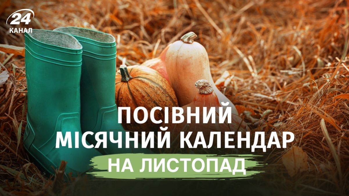 Лунный посевной календарь на ноябрь 2026 года