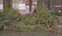 В Украине на улицах городов оставили десятки нераспроданных елок: возмутительные фото